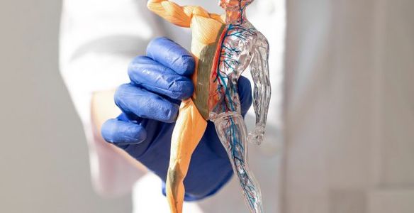 O que são doenças cardiovasculares?