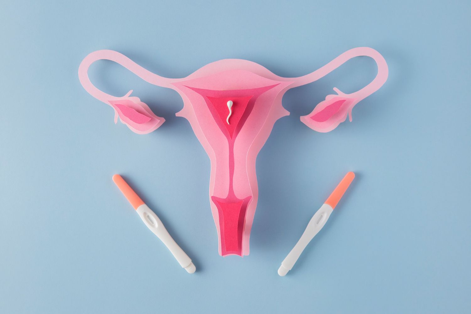 Ciclo menstrual e fisiologia da reprodução